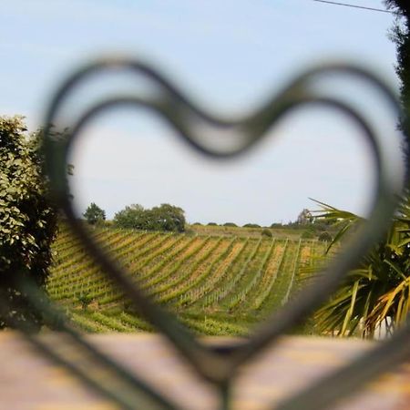 La Maison Des Vendangeurs Canet-en-Roussillon Ngoại thất bức ảnh