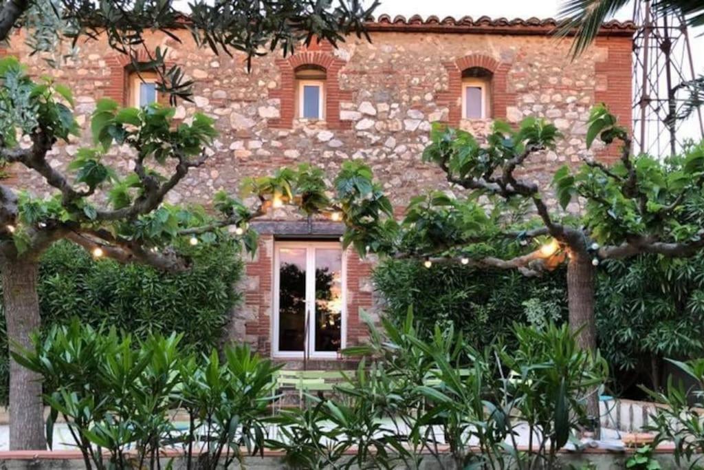 La Maison Des Vendangeurs Canet-en-Roussillon Ngoại thất bức ảnh