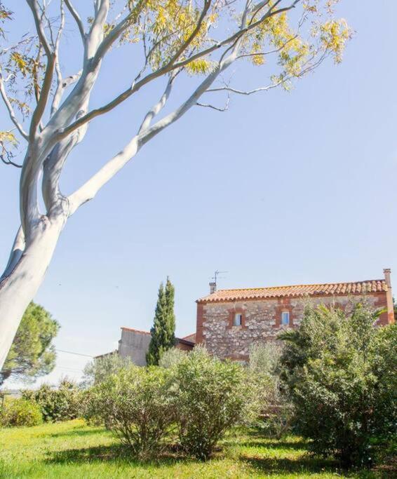 La Maison Des Vendangeurs Canet-en-Roussillon Ngoại thất bức ảnh