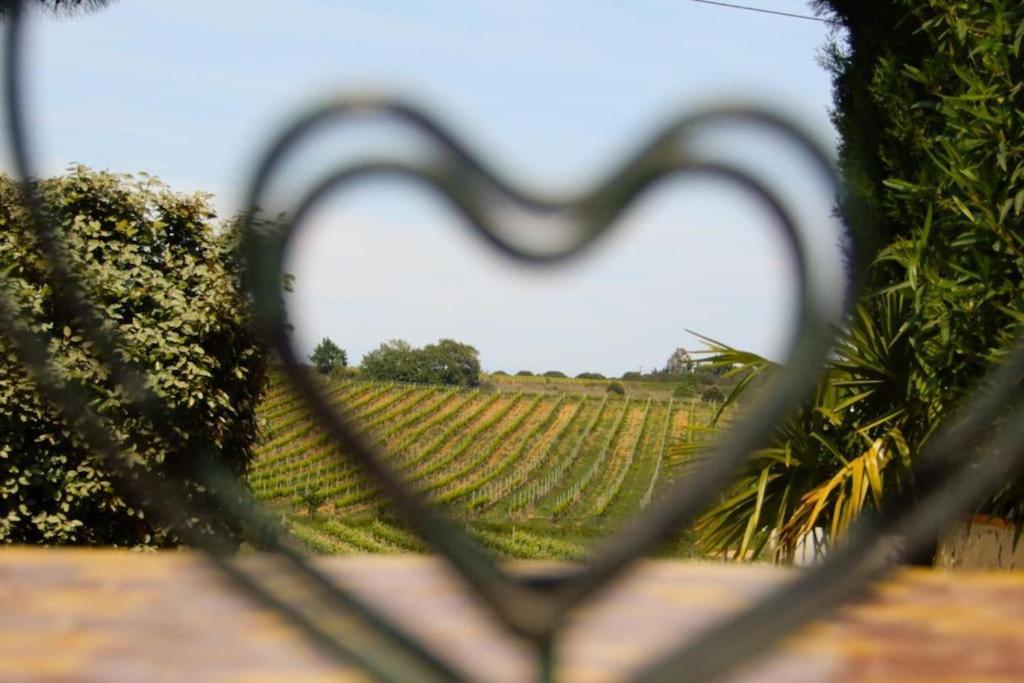 La Maison Des Vendangeurs Canet-en-Roussillon Ngoại thất bức ảnh