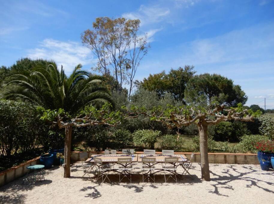 La Maison Des Vendangeurs Canet-en-Roussillon Ngoại thất bức ảnh