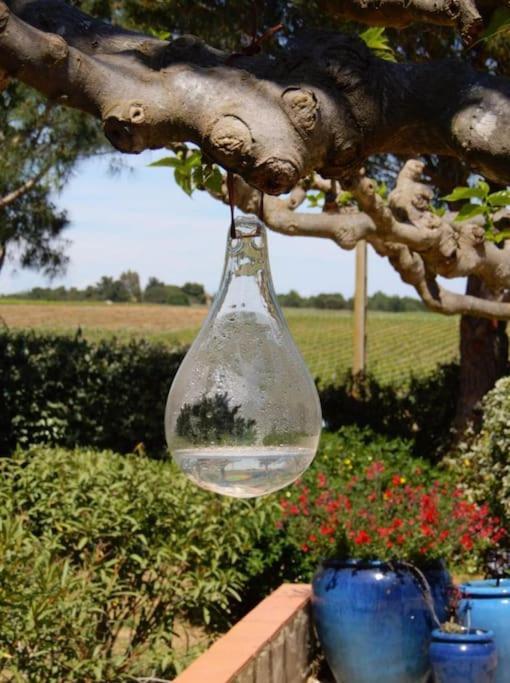La Maison Des Vendangeurs Canet-en-Roussillon Ngoại thất bức ảnh